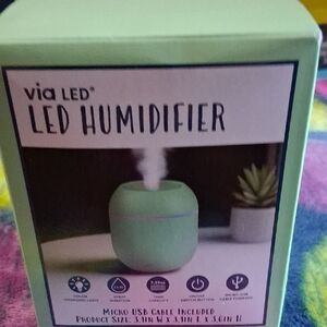 Green Humidifier